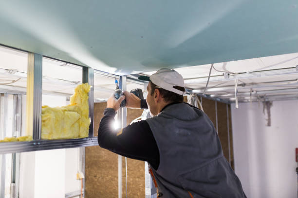 Best Commercial Insulation in Washburn, ND